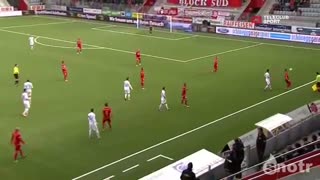 سموری که بازی فوتبال را بهم ریخت