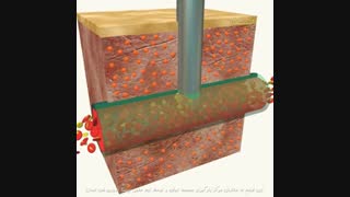 طرز کار پلاکت ها