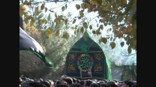سجاد اکبری دندان مصنوعی