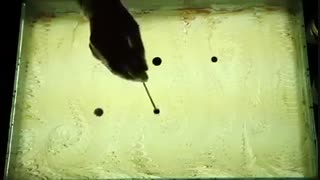 هنر نقاشی روی آب