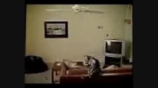 خنده دارپنکه هوایی