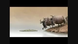انیمیشن کوتاه با دوبله مازندرانی (جالب)
