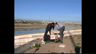 استاد داوود امیری