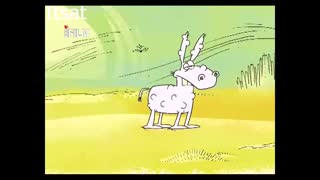 چرا گورخرها راه راه هستند