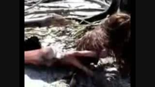 پری دریایی واقعی (خیلی عجیب)