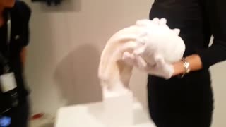 مجسمه های منعطف