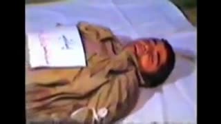 کبوتری که با دیدن صاحب شهیدش، مرد! (جل الخالق)