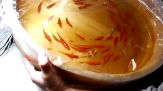 نقاشی سه بعدی فوق العاده زیبا با چند لایه نقاشی روی لایه های لاک