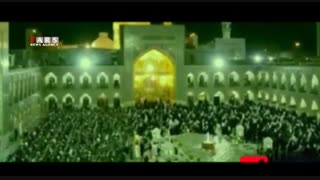 عبدالرضا هلالی و حامد زمانی