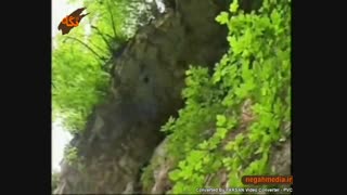 استان مازندران  جاذبه های طبیعی  سه هزار تنکابن (انگلیسی)