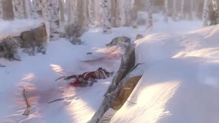 شکار در شب (assassin creed III)