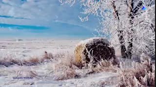 صحنه های زیبایی از طبیعت در زمستان