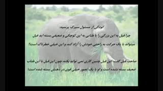 ریسمان ذهنی