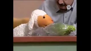 ببعی بامزه