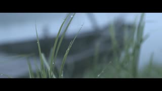 عطر سفیر - روش جالب دیور برای استخراج عصاره گل رز