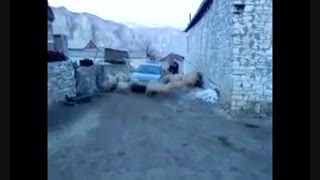 دورت بگردم گوسفندی...