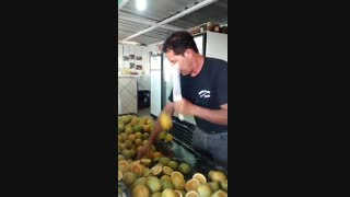 Fruit Ninja رو بازی کردید؟ این Lemon Ninja شونه