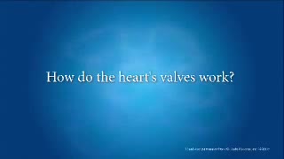 آناتومی و فیزیولوژی قلب