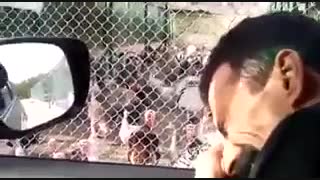 کلیپ کوتاه خنده دار رو حتما بیبینید