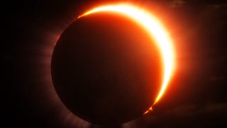 عطر سفیر - عطر مردانه له پرفیوم فارنهایت عطر جدید دیور