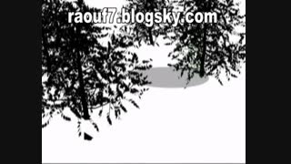 مار در جست و جوی بچه هایش-مار_کم شدن بچه_بچه مار ها