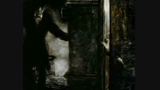 Il Rumore Del Fiore Di Carta - Mira