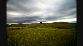 The Flashbulb - Undiscovered Colors