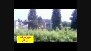 مهارت هرس درختان با اره برقی