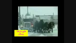 قدرت اسب ها در کشیدن کامیون تانکردار