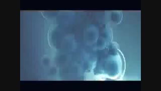 Gorz ft Omid with Mephisto.tavahom