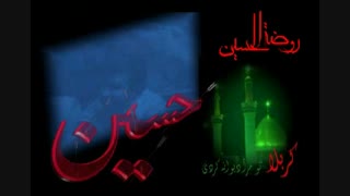 حاج محسن فیضی-کربلا دلم تنگ اومده