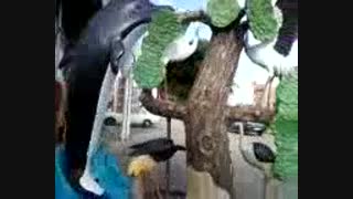 فیلم مجسمه های متفاوت