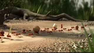 سزای آدم لج باز و مغرور همینه