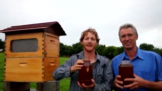 کندو های عسل هم هوشکمند می شوند