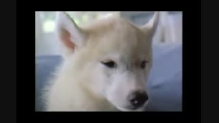 هان گا این (یونپای شرایط عشق) در تبلیغات تلویزیون، بازیگر زن محبوب کره جنوبی