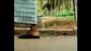 صرفه جویی در مصرف آب