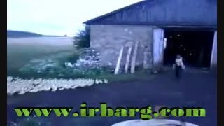 اردک های فهمیده و با شعور