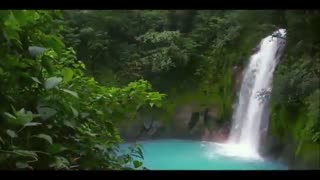 شگفتی آفرینش