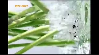 هان هیو جو درتبلیغ mr pizza