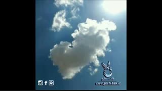 بازخورد مثبت
