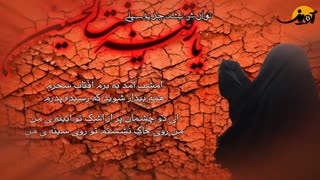 مداحى زیبا براى حضرت رقیه (س) با نوای حاج میثم مطیعی