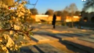 هنرمندان و ورزشکارانی که سال 93 از دنیا رفتند