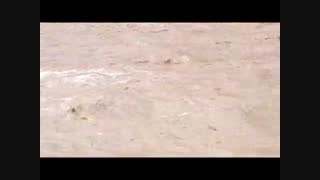 طغیان رودخانه چمسنگر مورخه1394/01/02