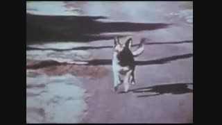 در تعغیب جوtv show run joe run