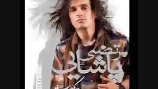 مرتضی پاشایی