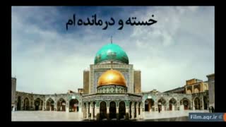 السلام علیک یا سلطان عشق علی بن موسی الرضا (ع)
