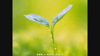 کلیپ مادر(Madar) از صابر اذعانی