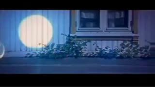 ترومپت از تینه تینگ هلست - Trumpet Concerto 3 rd Mov