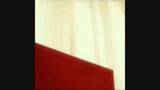 distance  of  SS501 2007