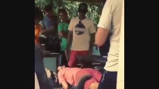 فیل بی تربیت